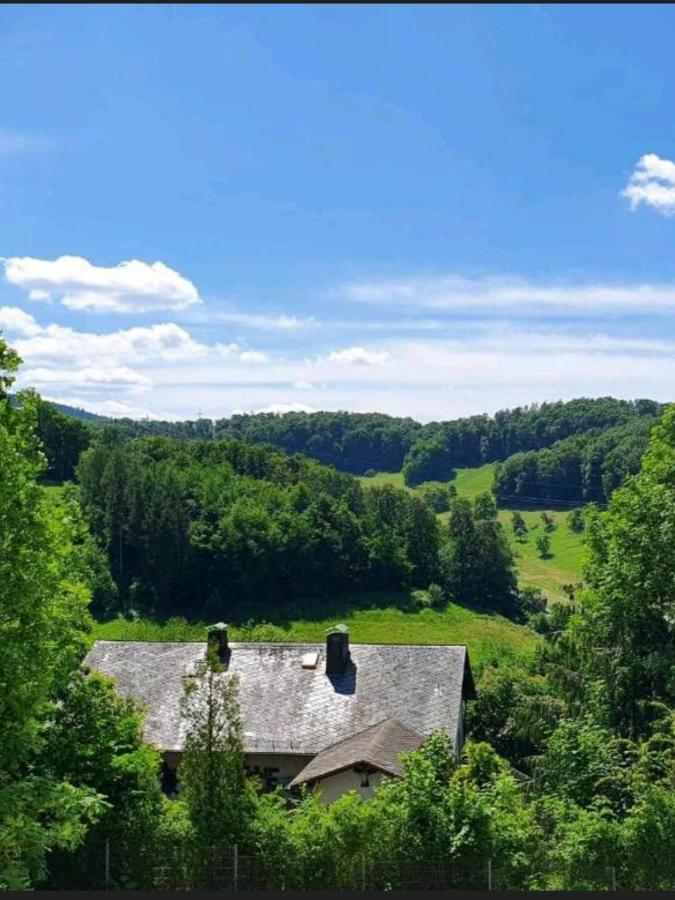 Odenwald-Lodge Mit Infrarotsauna Und E-Ladestation Im Naturpark Odenwald "Haus Himmelblau" Reichelsheim Exterior foto